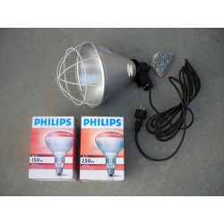 Infraroodlamp Philips 250W K10